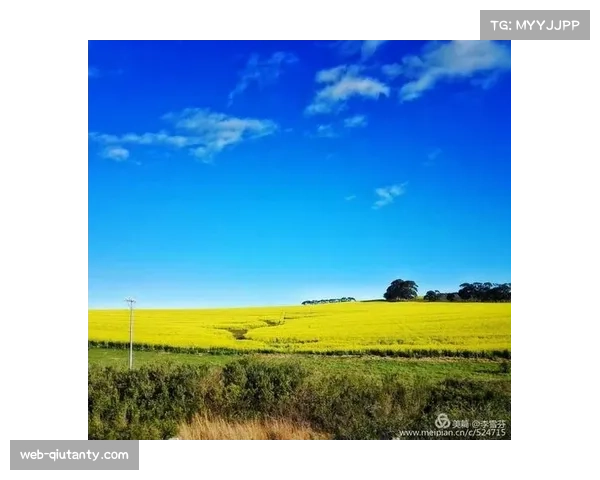 南非 Currie Cup 决赛:西开普省队逆转鲨鱼队夺冠 南非 Currie Cup 决赛:西开普省队逆转鲨鱼队夺冠